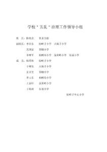 五亂治理組織及方案