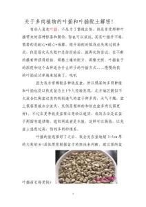 關于多肉植物的葉插和葉插配土解密