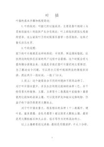 葉插的基本步驟和機理簡述