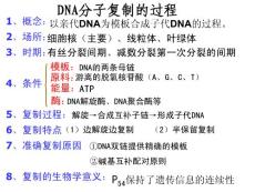 基因指導蛋白質的合成① 223
