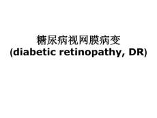 糖尿病视网膜病变【ppt】