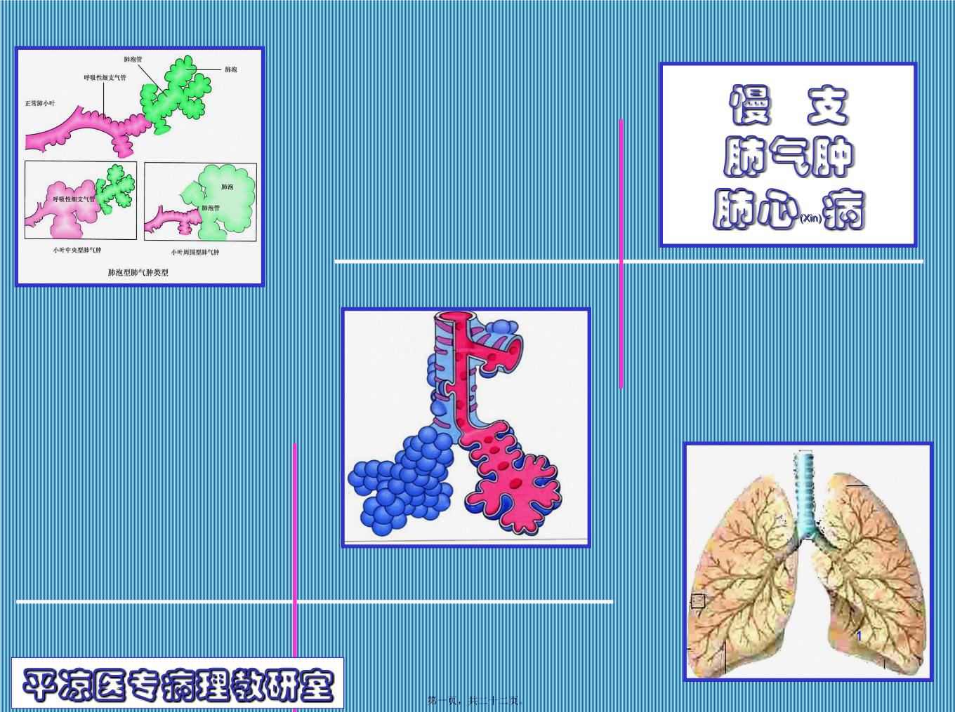 慢支.肺气肿.肺心病ppt课件