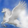 pegasusljx