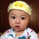 hehonghong111