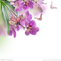 7c8b4a7551