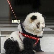 千度文檔
