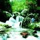 weixin_e16babbb
