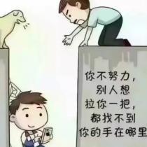 與世無爭(zhēng)
