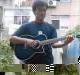 zhangls621