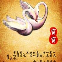 樹袋熊