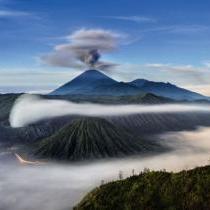 荒野山林