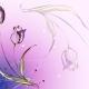 youyuanren0823