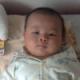 ham4979682