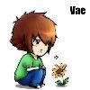 vae、晓陌