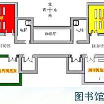 shanshan517