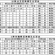 lidian222cn