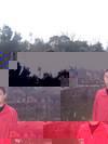 楊陽