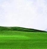 744199366